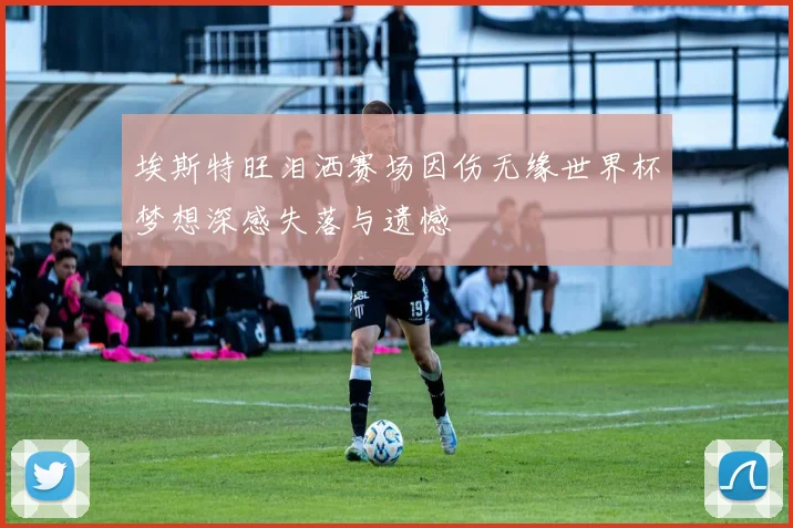 埃斯特旺泪洒赛场因伤无缘世界杯梦想深感失落与遗憾