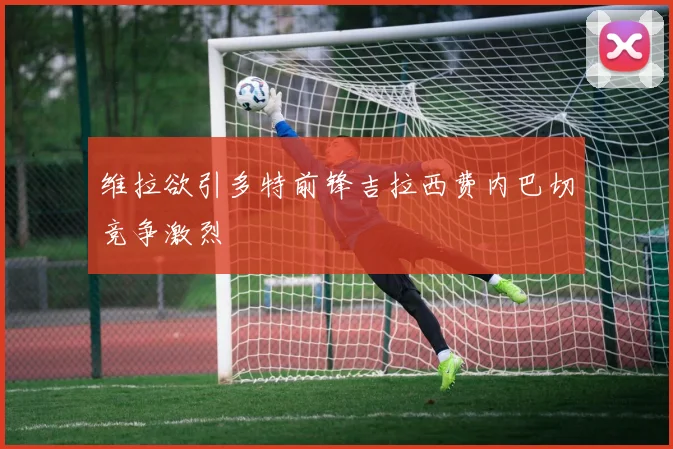 维拉欲引多特前锋吉拉西费内巴切竞争激烈