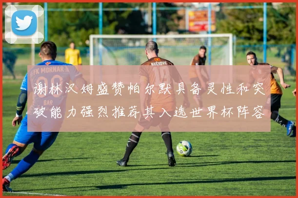 谢林汉姆盛赞帕尔默具备灵性和突破能力强烈推荐其入选世界杯阵容