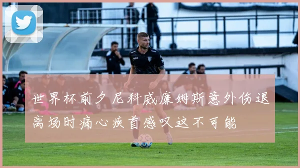 世界杯前夕尼科威廉姆斯意外伤退离场时痛心疾首感叹这不可能