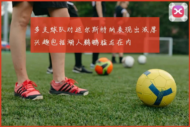 多支球队对迈尔斯特纳表现出浓厚兴趣包括湖人鹈鹕猛龙在内